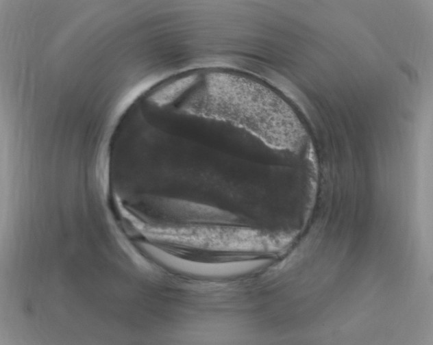 X0000113611127200910161923