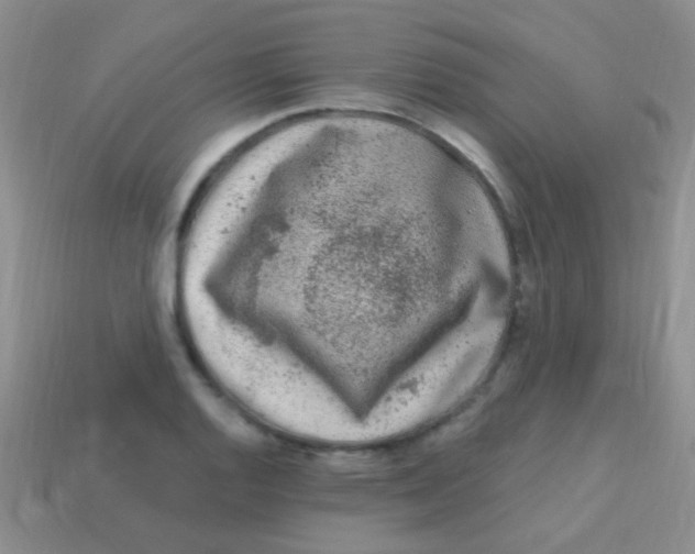 X0000113611128200910161923