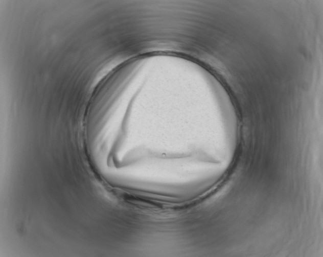 X0000113611129200910161923