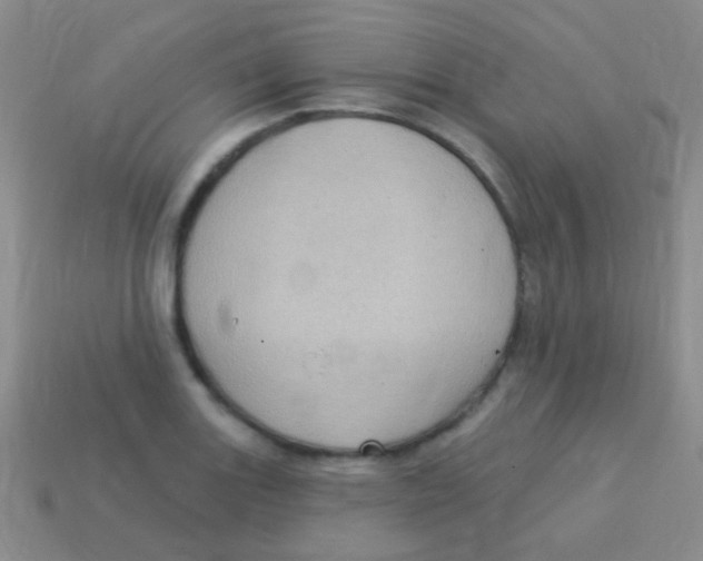 X0000113611131200910161923