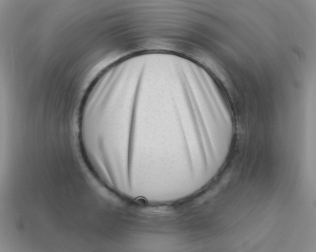 X0000113611133200910161923