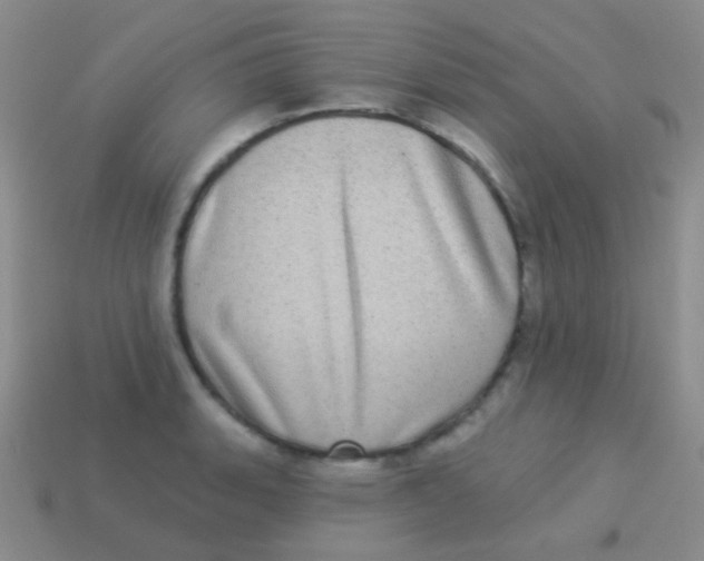 X0000113611135200910161923