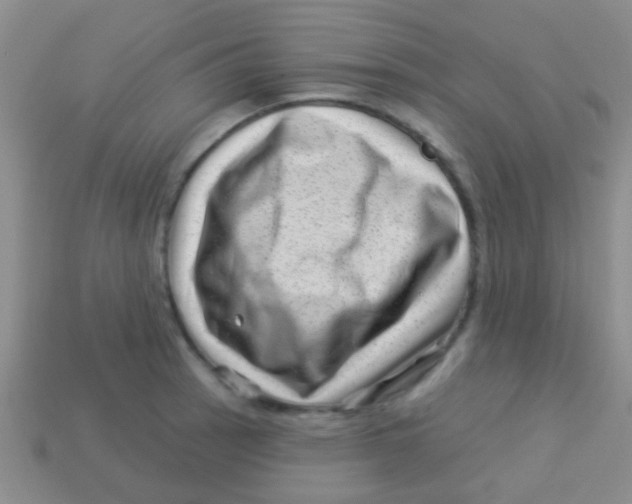 X0000113611137200910161923