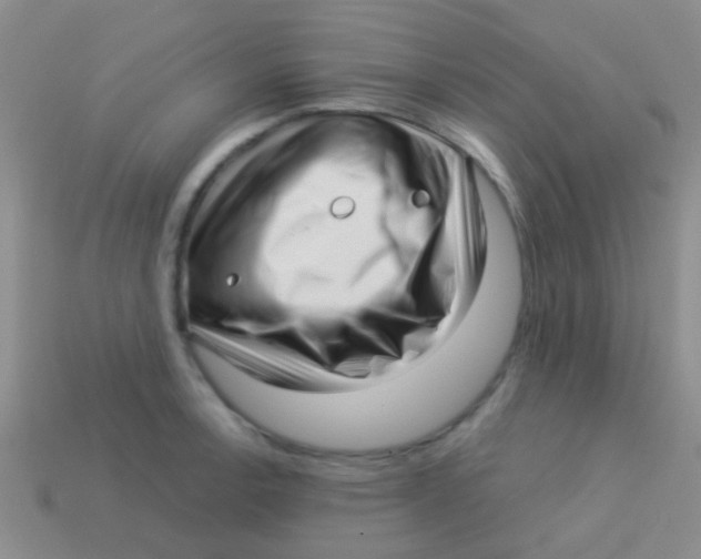 X0000113611138200910161923