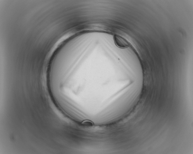 X0000113611139200910161923