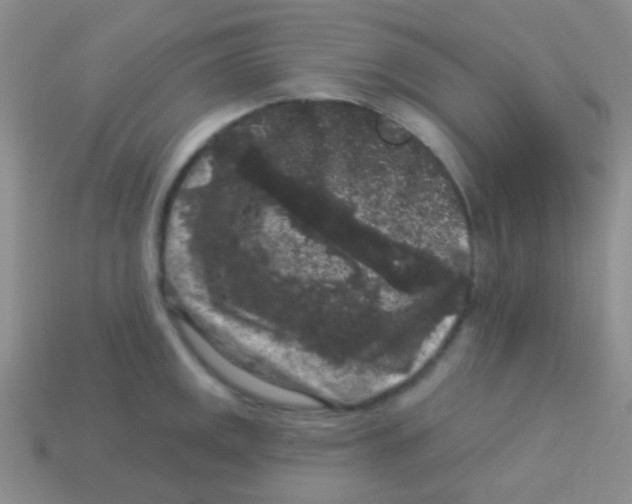 X0000113611141200910161923