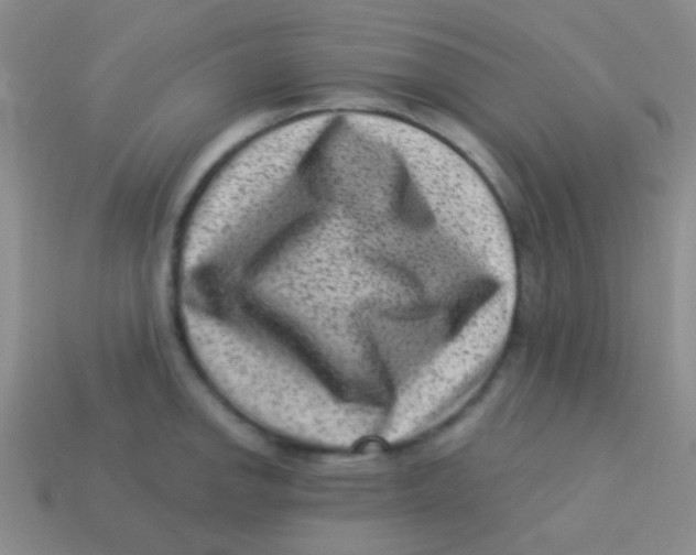 X0000113611142200910161923