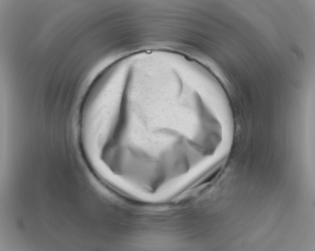 X0000113611143200910161923