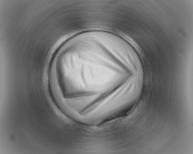 X0000113611144200910161923