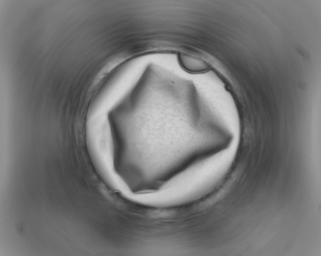 X0000113611145200910161923