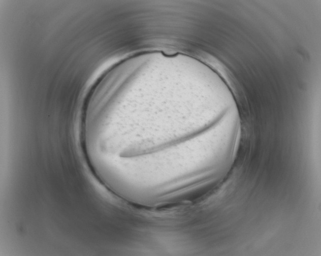 X0000113611147200910161923