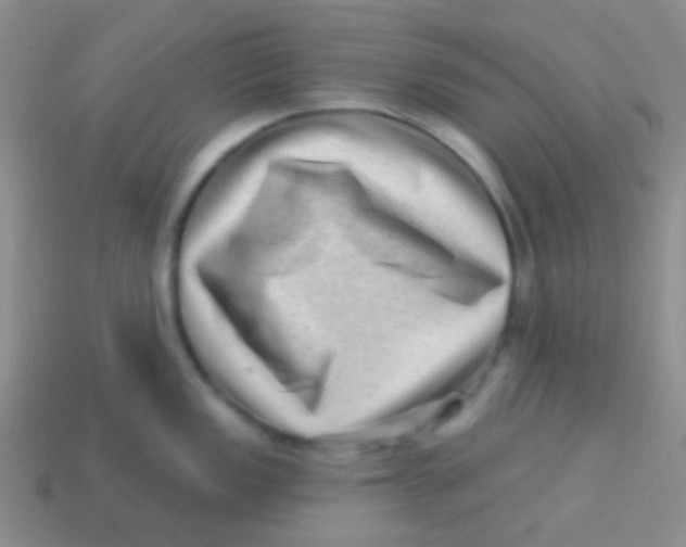 X0000113611149200910161923