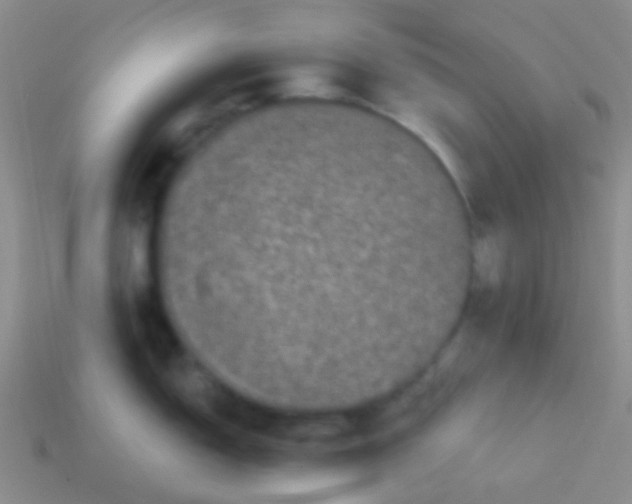 X0000113611150200910161923