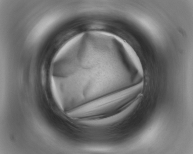 X0000113611151200910161923