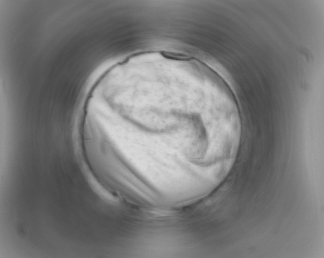 X0000113611152200910161923