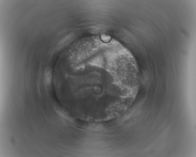 X0000113611154200910161923