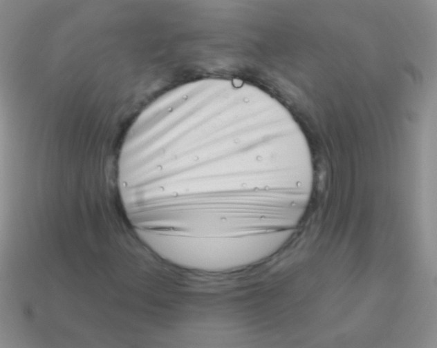 X0000113611156200910161923