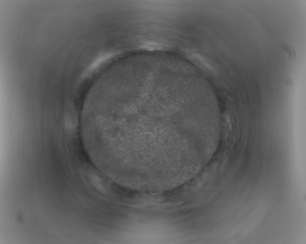 X0000113611158200910161923