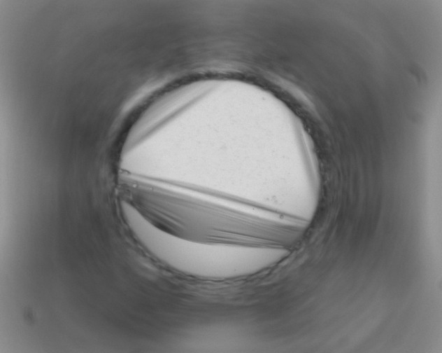 X0000113611160200910161923