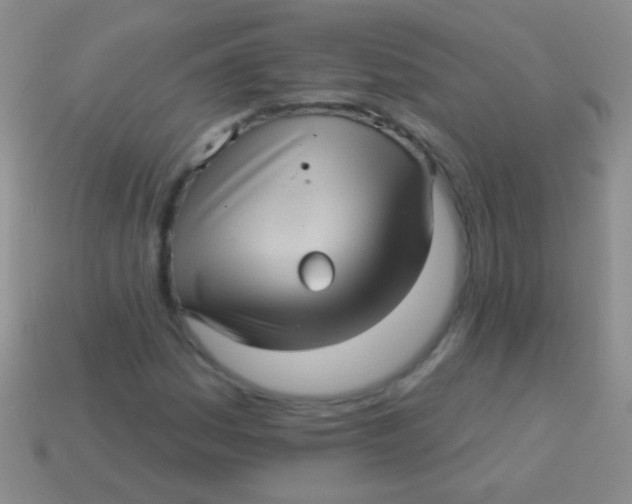 X0000113611161200910161923