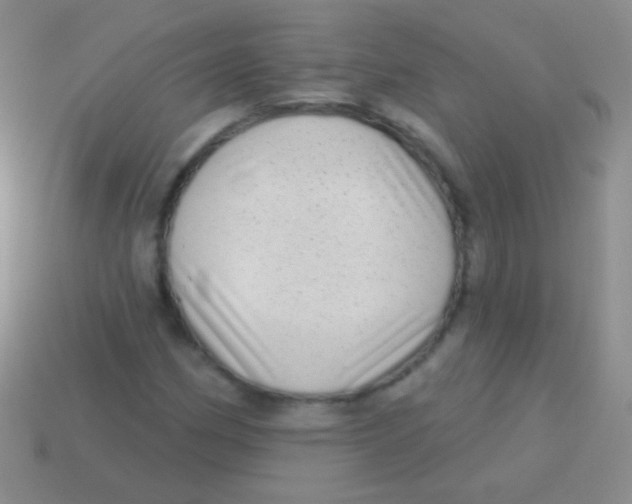 X0000113611162200910161923