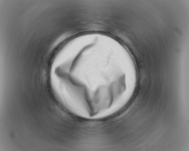 X0000113611163200910161923