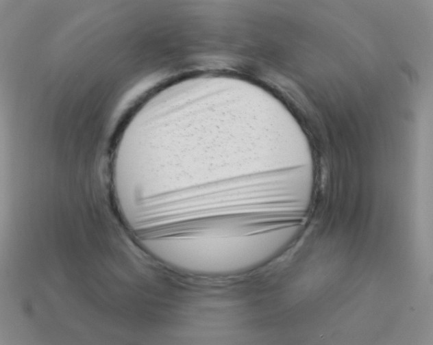 X0000113611164200910161923