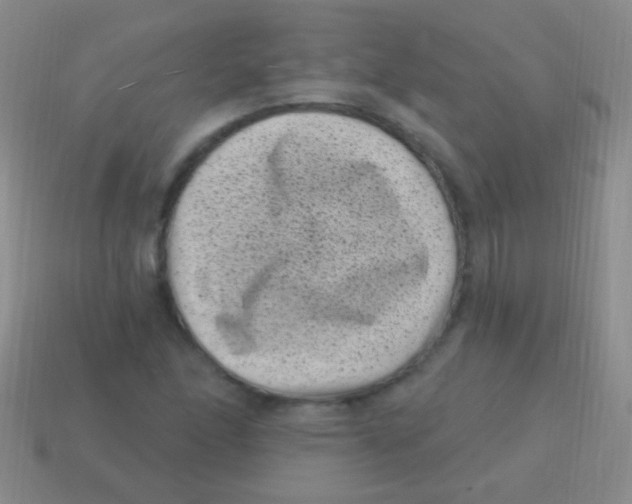 X0000113611166200910161923