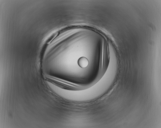 X0000113611167200910161923