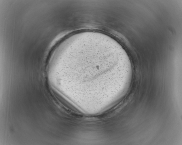 X0000113611168200910161922