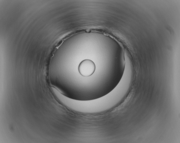 X0000113611169200910161922