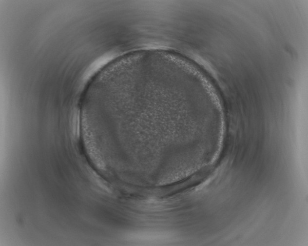 X0000113611171200910161922