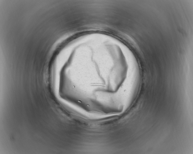 X0000113611172200910161922