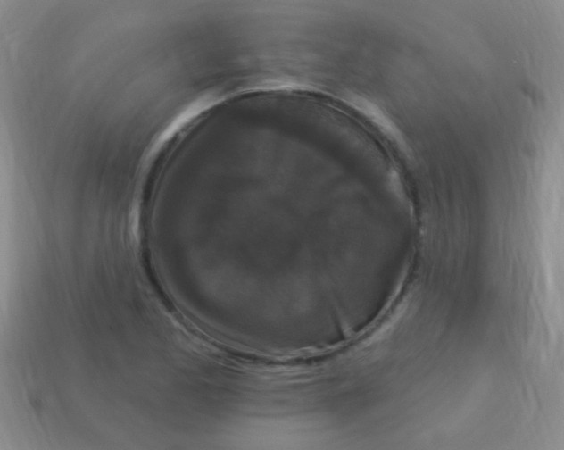 X0000113611173200910161922