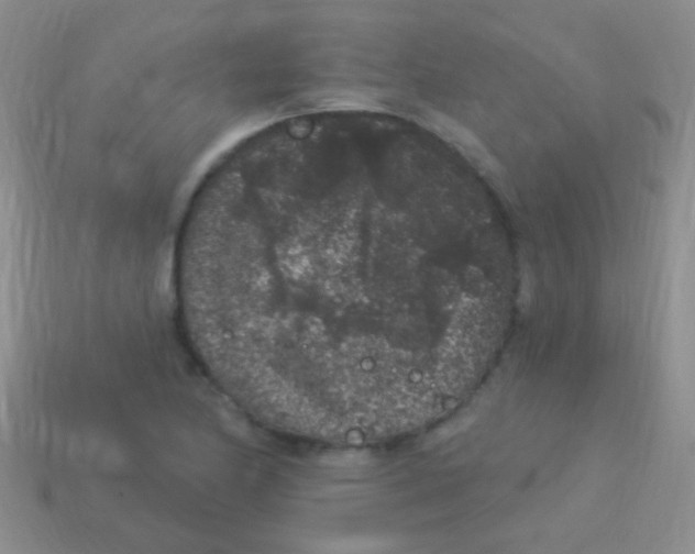 X0000113611174200910161922