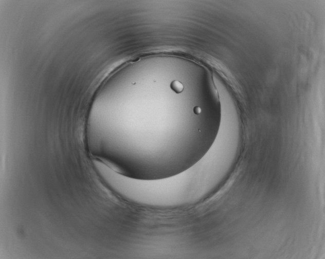 X0000113611177200910161922