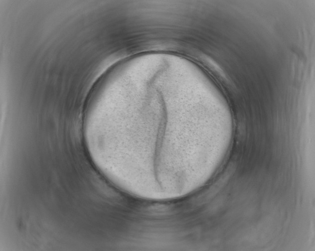 X0000113611178200910161922