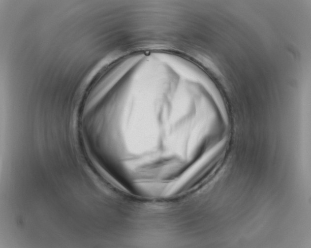 X0000113611181200910161922