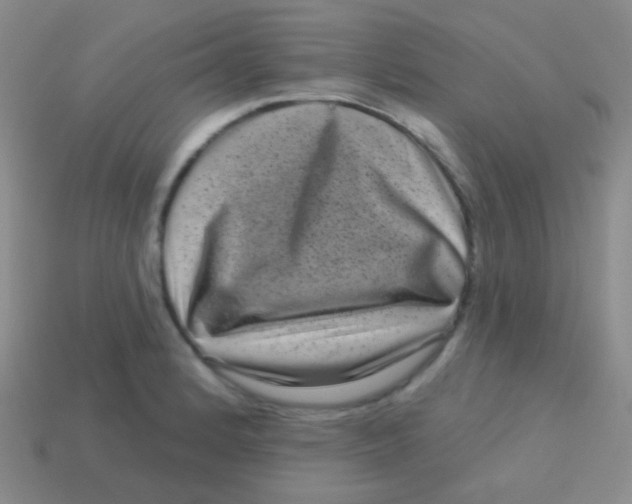 X0000113611184200910161922