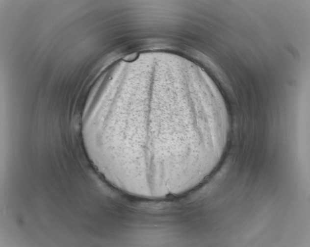 X0000113611185200910161922