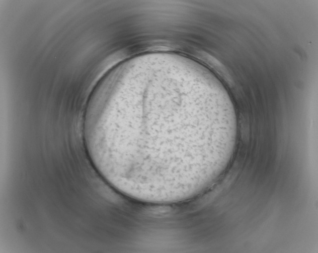 X0000113611186200910161922