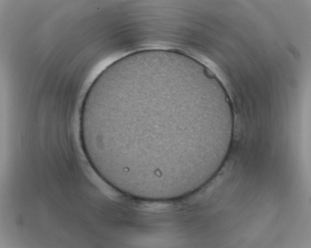 X0000113611187200910161922