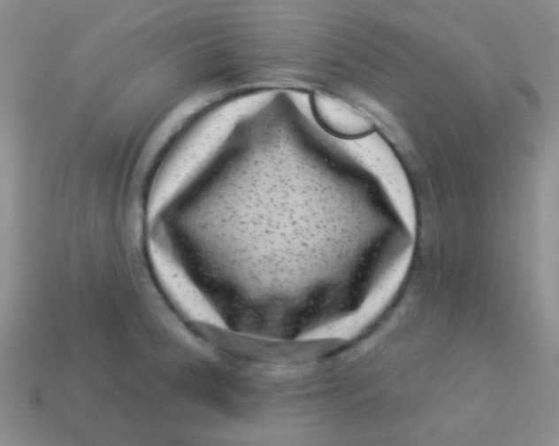 X0000113611188200910161922