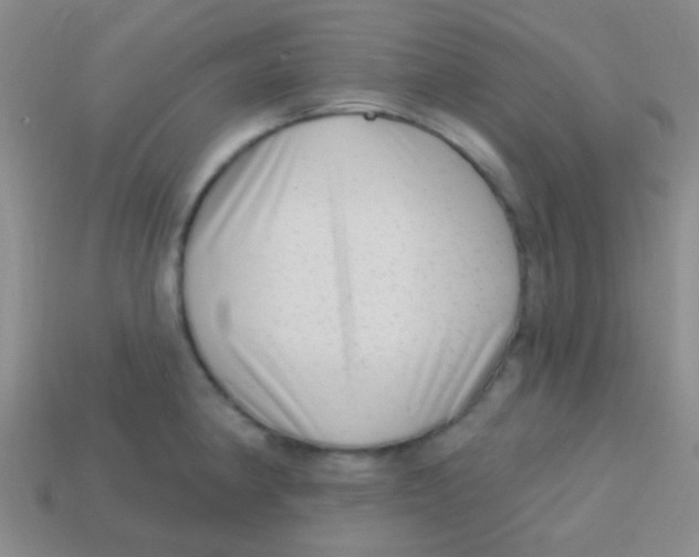 X0000113611190200910161922