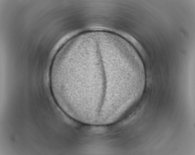 X0000113611191200910161922