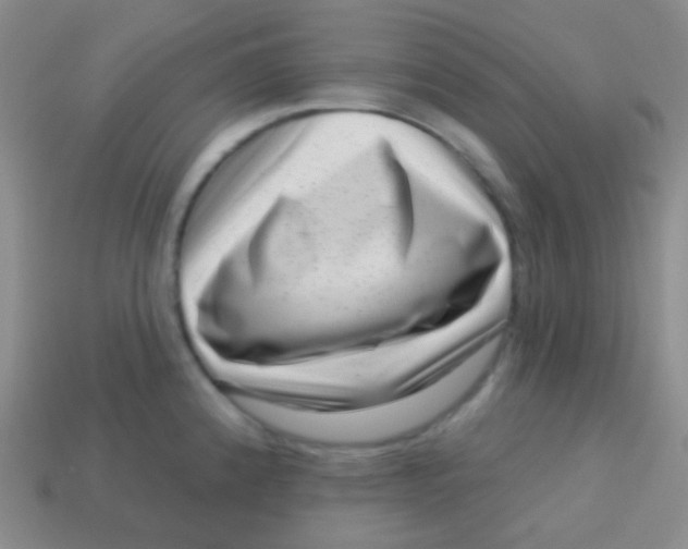 X0000113611192200910161922