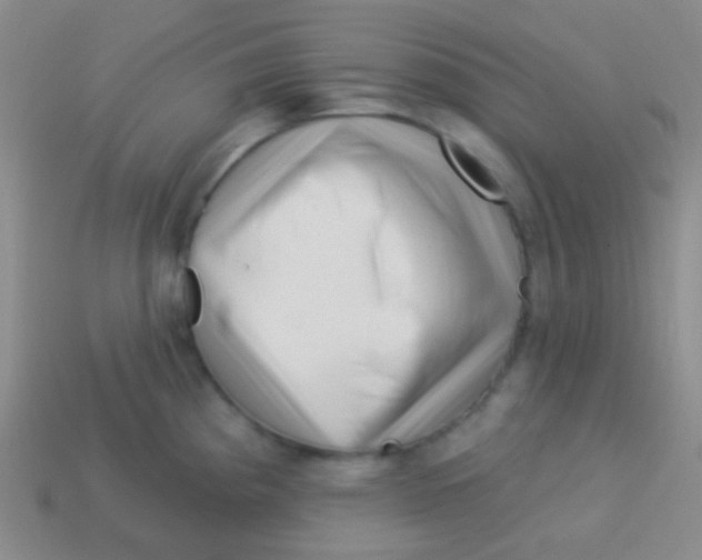 X0000113611193200910161922