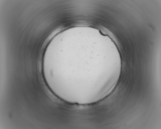 X0000113611195200910161922