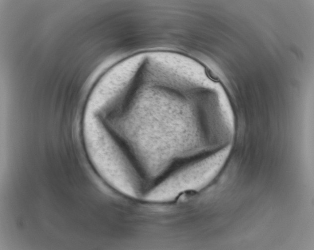 X0000113611197200910161922