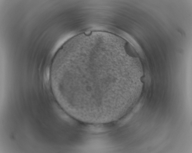 X0000113611198200910161922